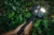 GoPro Expands MISSION 1 Series Lineup
